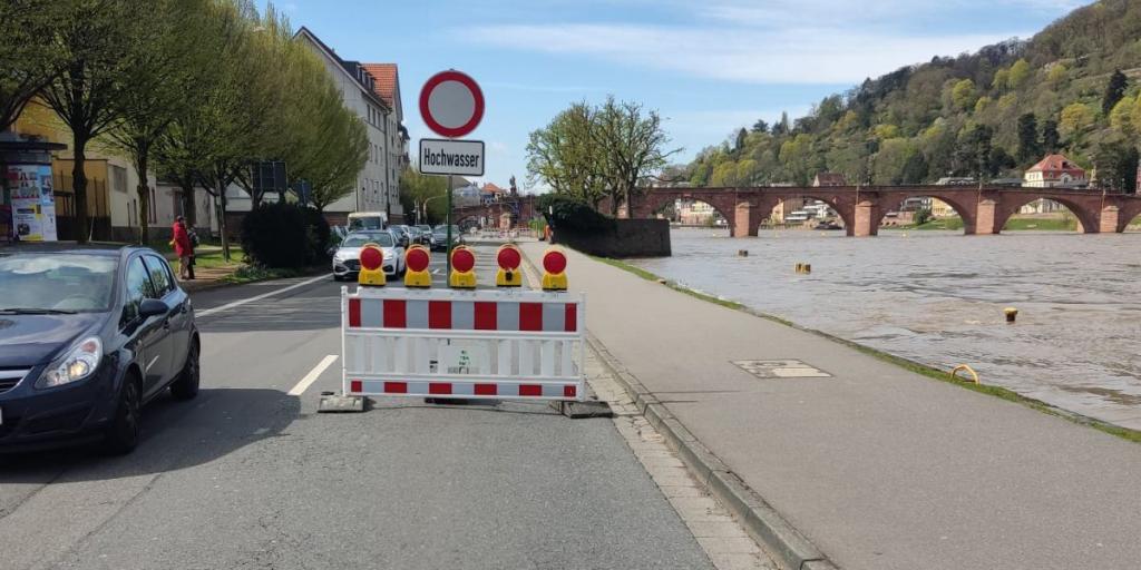 Hochwasserschutz Förderung Heidelberg