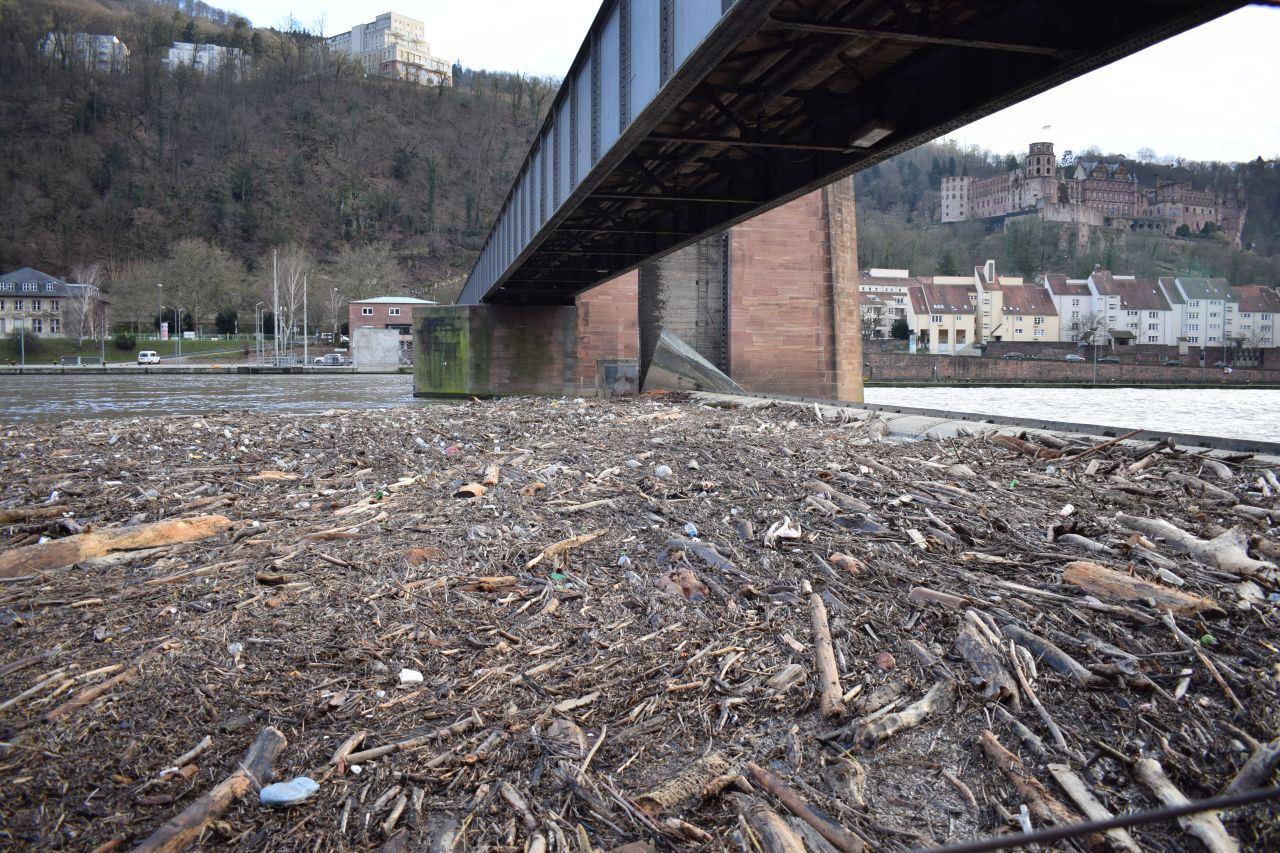 Hochwasserschutz Heidelberg